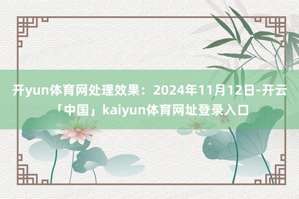 开yun体育网处理效果：2024年11月12日-开云「中国」kaiyun体育网址登录入口