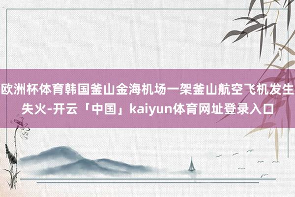 欧洲杯体育韩国釜山金海机场一架釜山航空飞机发生失火-开云「中国」kaiyun体育网址登录入口