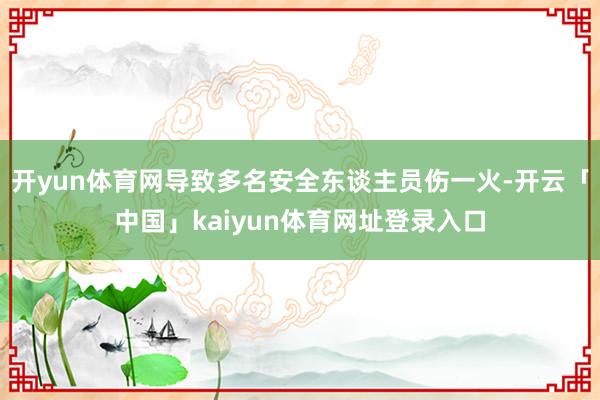 开yun体育网导致多名安全东谈主员伤一火-开云「中国」kaiyun体育网址登录入口